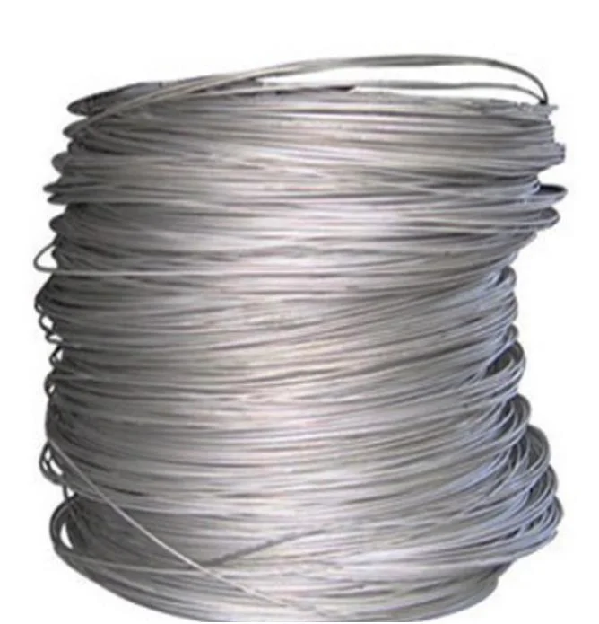 302 304 304L 316 316L Stainless Steel Inox Spring Metal Wire