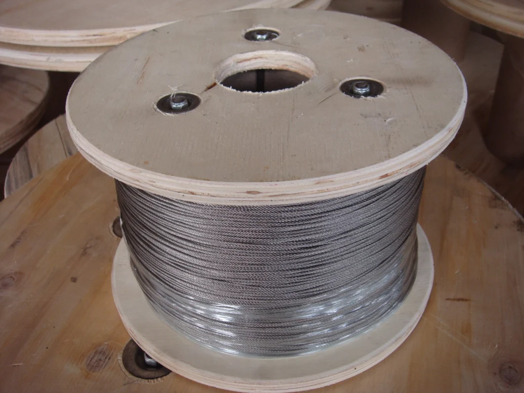 Stainless Steel Wire Rope Aircraft Cable Inox 304/316 China Supplier