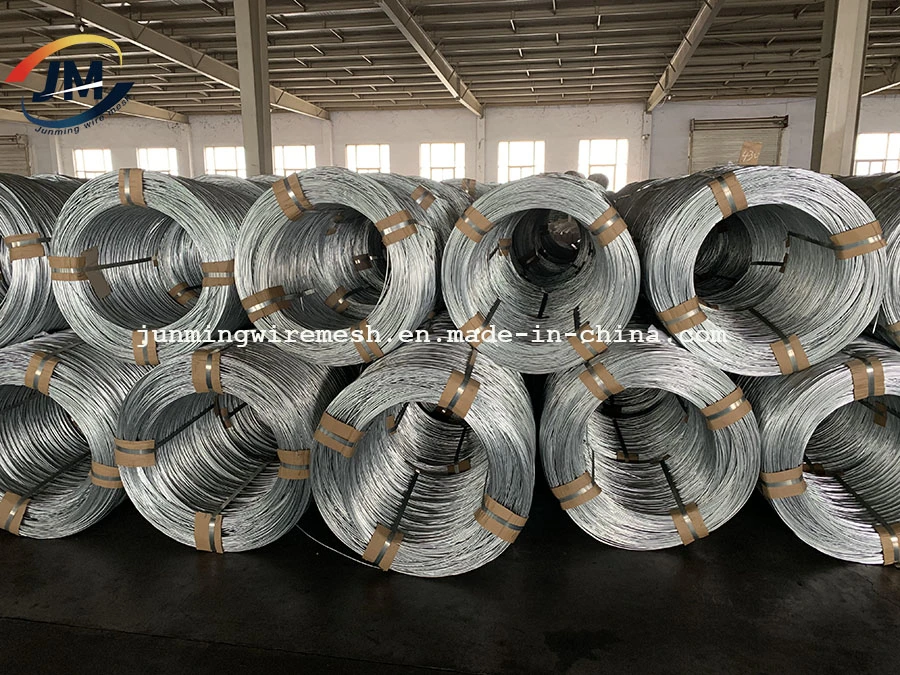 Hot Dipped/Electric Galvanized Mild Steel Binding Wire/Black Annealed Iron Tie Wire Bright Florist Cut Stainless Steel Spool for Construction/Building Material