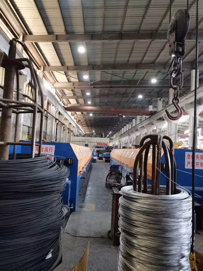 Cable recubierto de plástico galvanizado galvanizado sin galvanizar de acero inoxidable Cuerda de alambre de acero con todas las construcciones diferentes para automóvil Motocicleta Grúa Valla Médica
